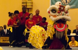 Lion Dance