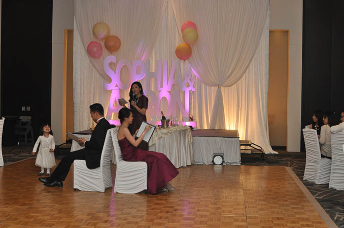 Newly wed game