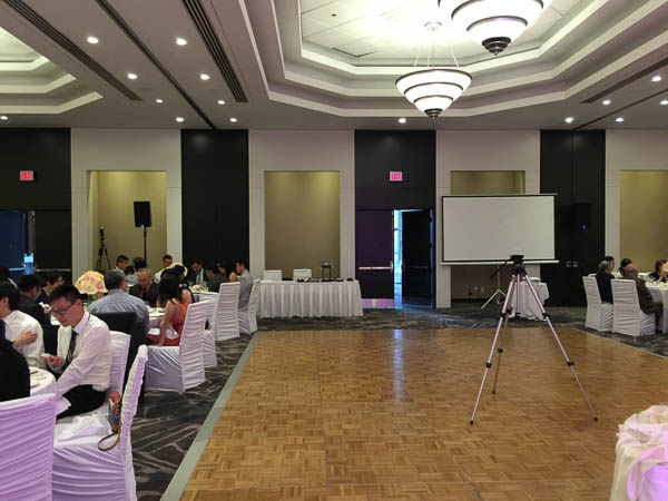 Large projector screen